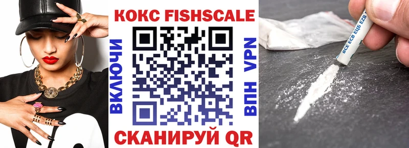 ссылка на мегу как зайти  Павловск  COCAIN FishScale 