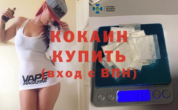 шишки Каменногорск