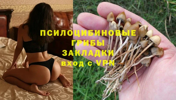 шишки Каменногорск
