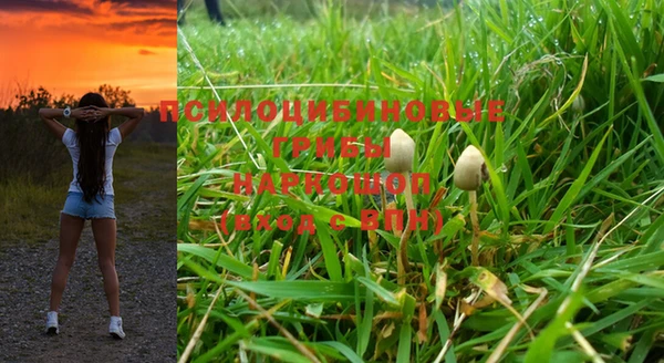 марки nbome Нефтекумск